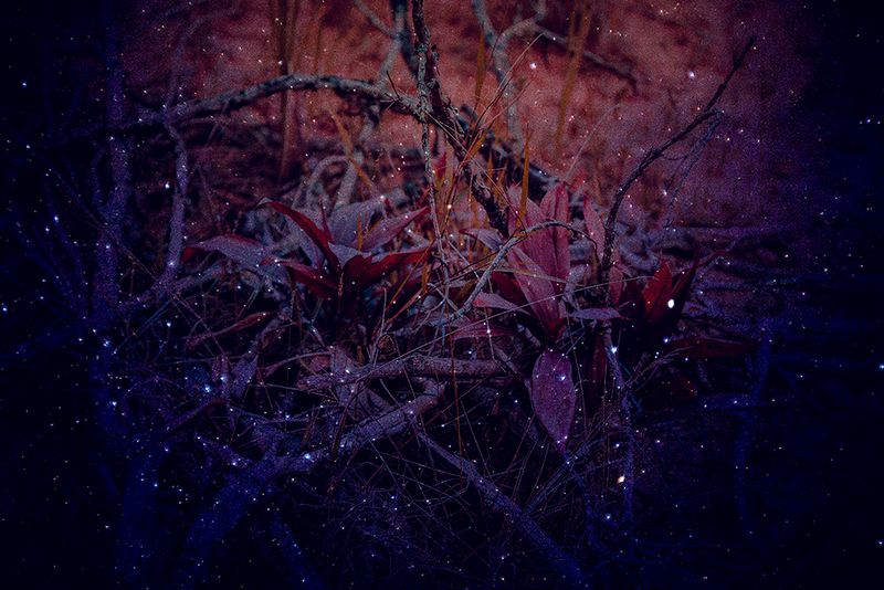 © Marcel Fernandes - Image from the KEPLER-186F photography project