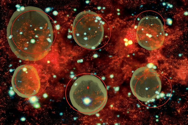 © Marcel Fernandes - Image from the KEPLER-186F photography project