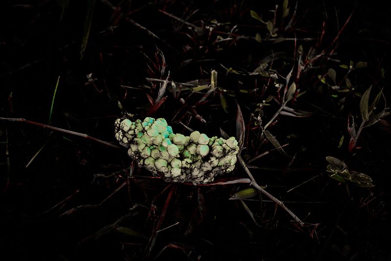 © Marcel Fernandes - Image from the KEPLER-186F photography project