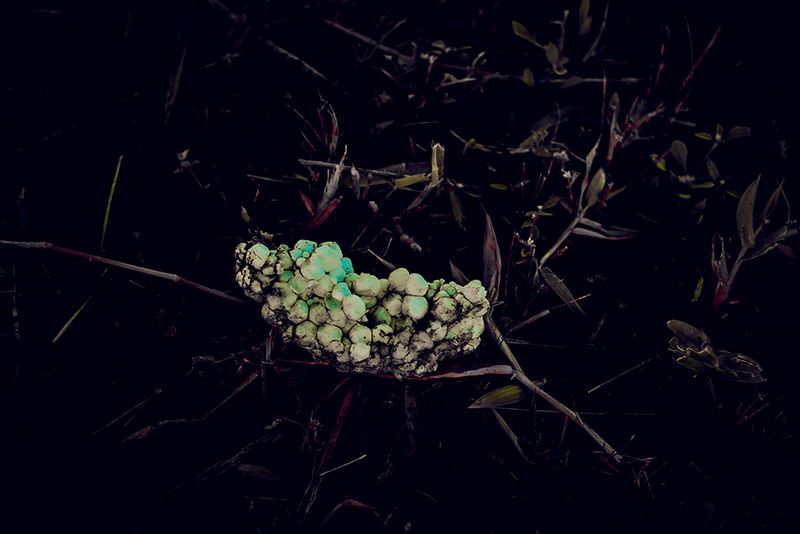 © Marcel Fernandes - Image from the KEPLER-186F photography project