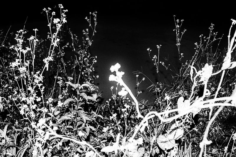 © Marcel Fernandes - Image from the Future of the past  photography project