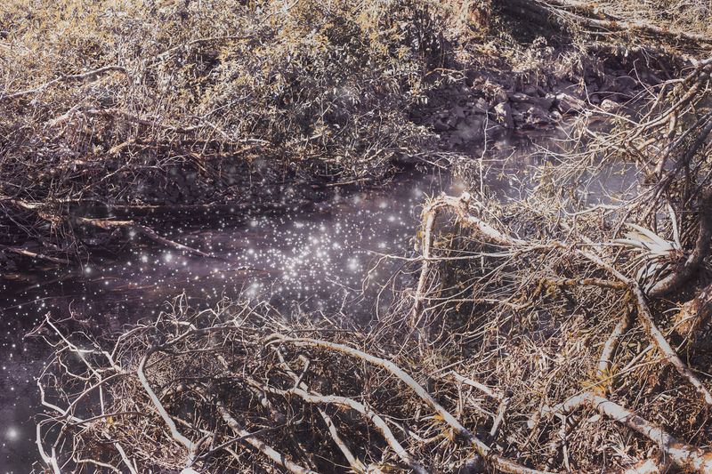 © Marcel Fernandes - Image from the TITAN photography project