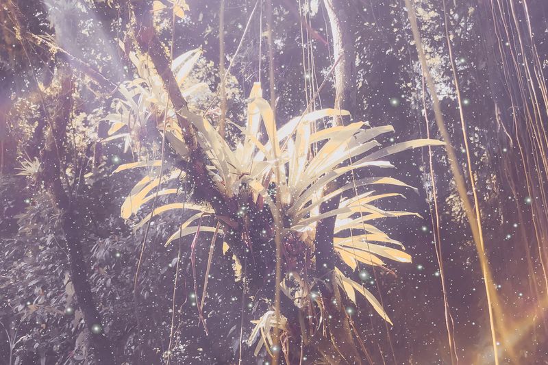 © Marcel Fernandes - Image from the TITAN photography project