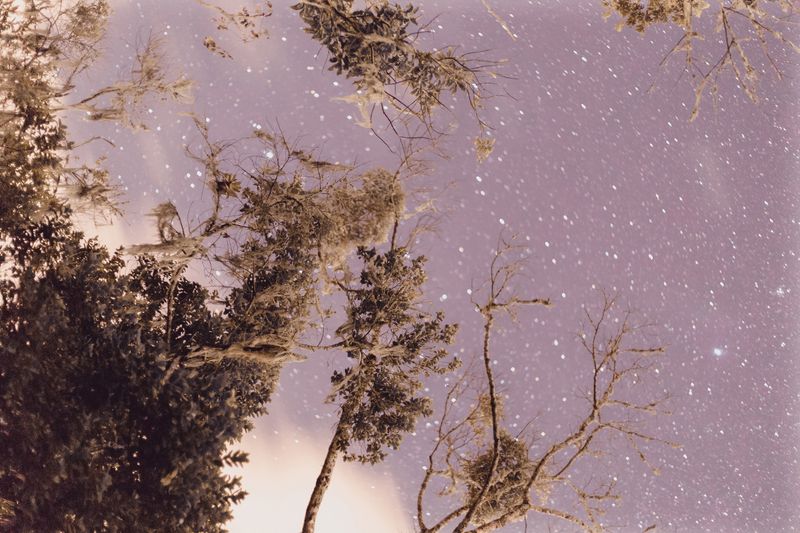 © Marcel Fernandes - Image from the TITAN photography project