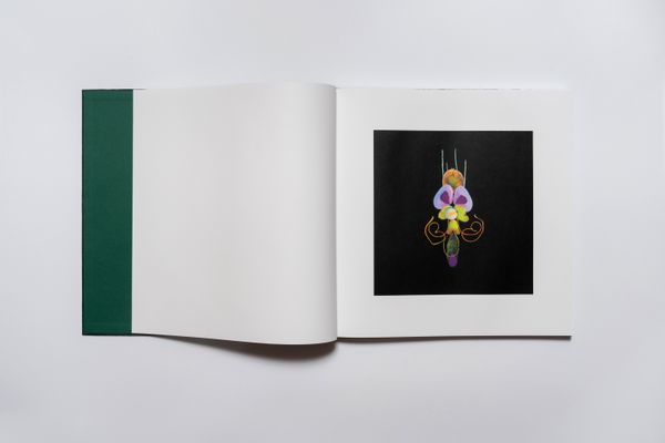 Image from a project on PhMuseum