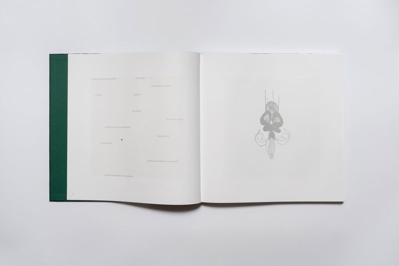 Image from a project on PhMuseum