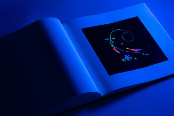 Image from a project on PhMuseum