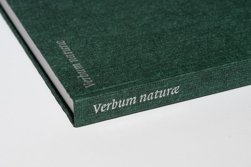 Image from a project on PhMuseum