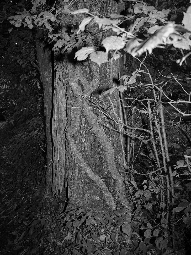 © MARIO ERMOLI - Image from the Luna Park photography project