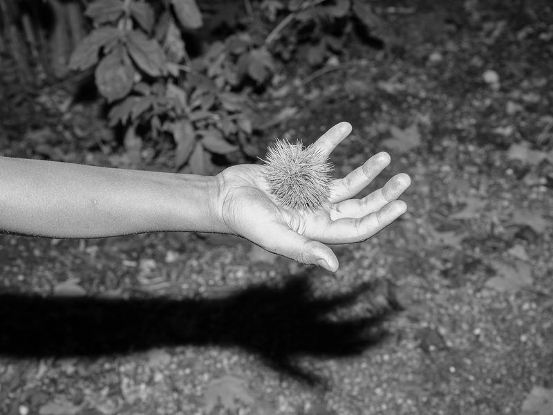© MARIO ERMOLI - Image from the Luna Park photography project