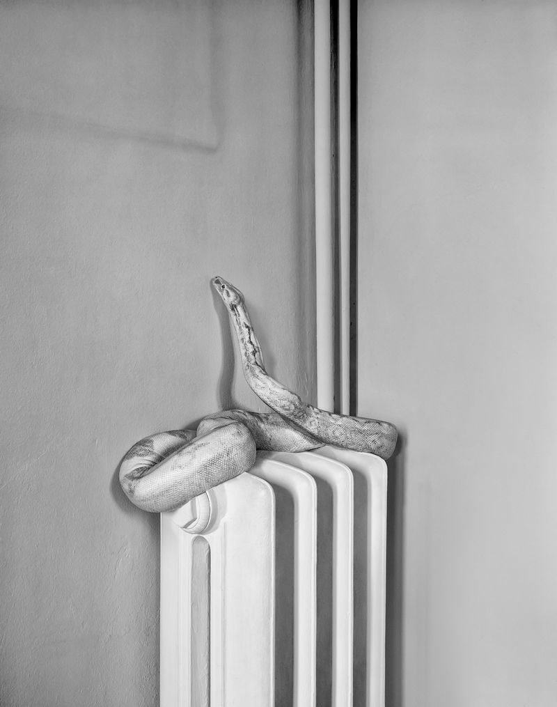 © MARIO ERMOLI - Still_Moving_Water