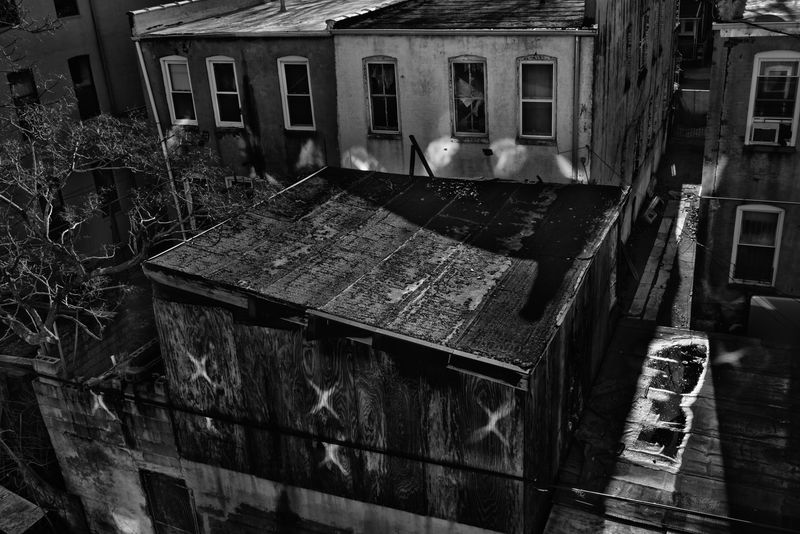 © Bastien Deschamps - Image from the The Pigeons are getting Braver photography project