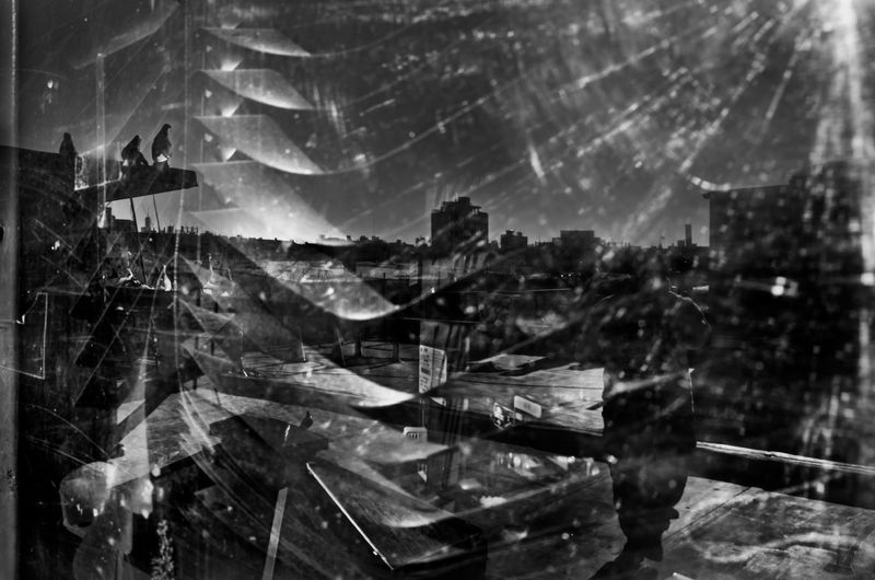 © Bastien Deschamps - Image from the The Pigeons are getting Braver photography project