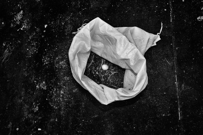 © Bastien Deschamps - Egg in a bag, Bushwick, March 29th 2019