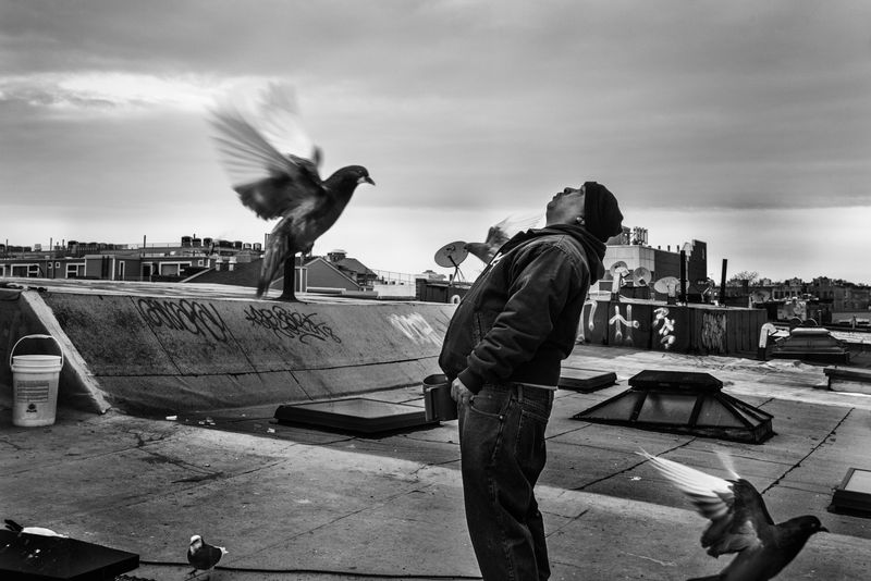 © Bastien Deschamps - Image from the The Pigeons are getting Braver photography project