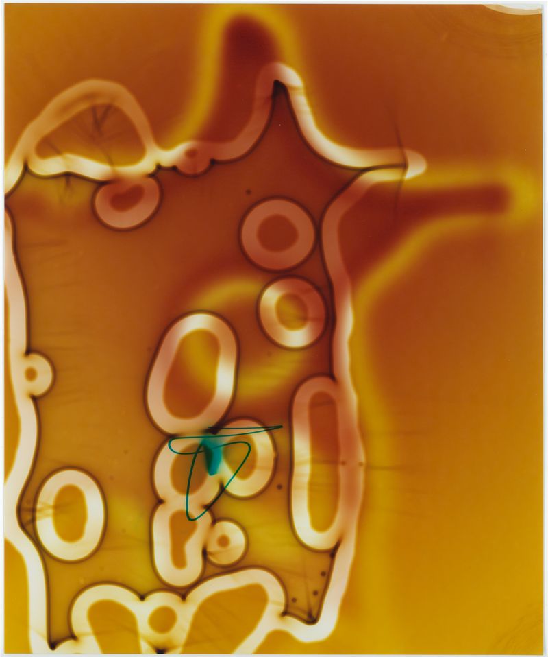 © Mariana Romão - Looking for something knew (2025), Chromogenic print 25x30