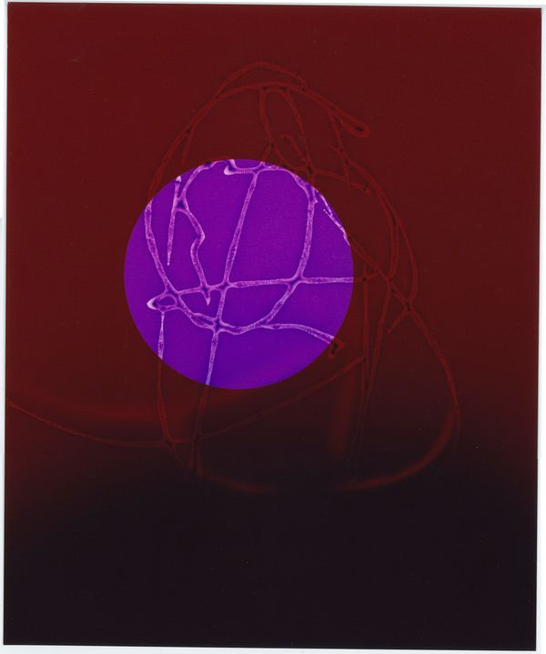 © Mariana Romão - Focus (2025),Chromogenic print 25x30