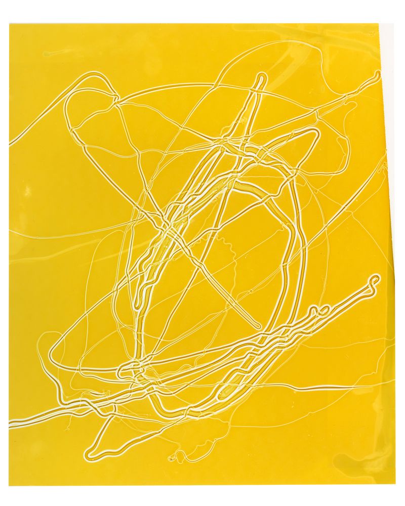 © Mariana Romão - Shifting (2025),Chromogenic print 25x30