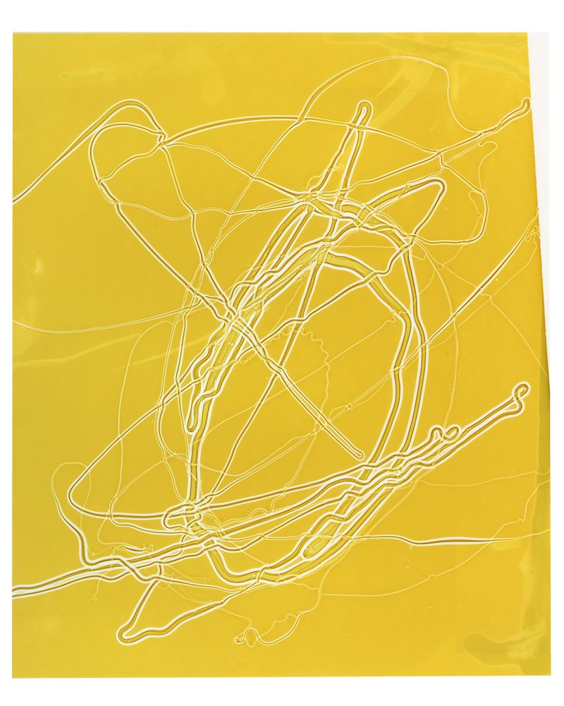 © Mariana Romão - Shifting (2025),Chromogenic print 25x30