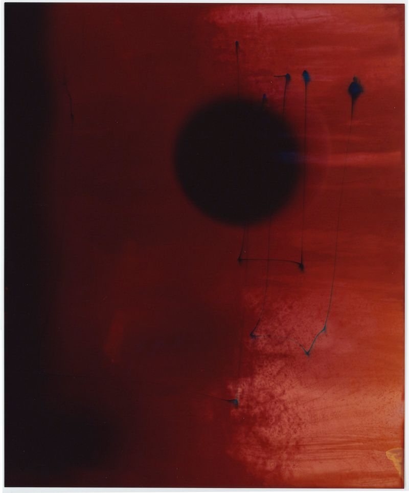 © Mariana Romão - Greed (2025),Chromogenic print, 25 x 30 cm.