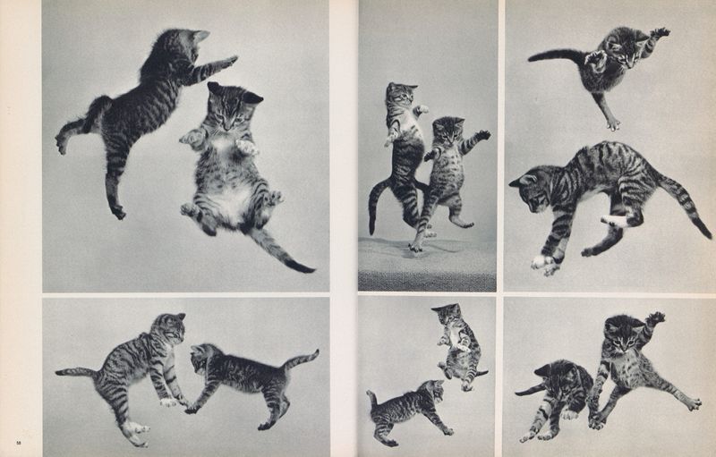 Image from a project on PhMuseum