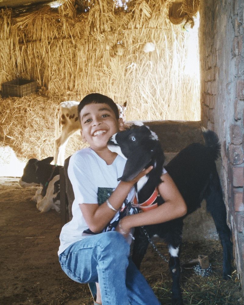 © Janvi Bhardwaj - Image from the ਆਲ੍ਹਣਾ - Nest. Home. photography project