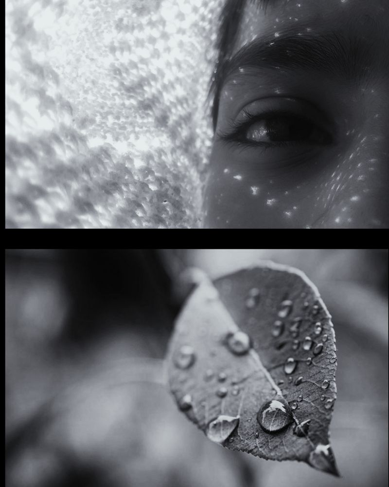© Janvi Bhardwaj - Image from the Diptych photography project