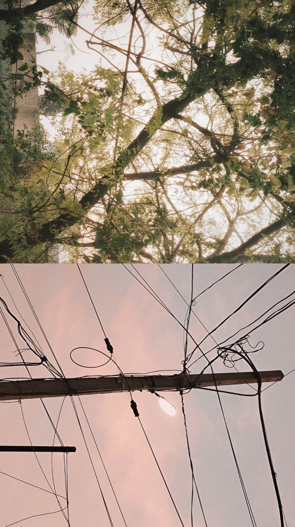 © Janvi Bhardwaj - Image from the Diptych photography project