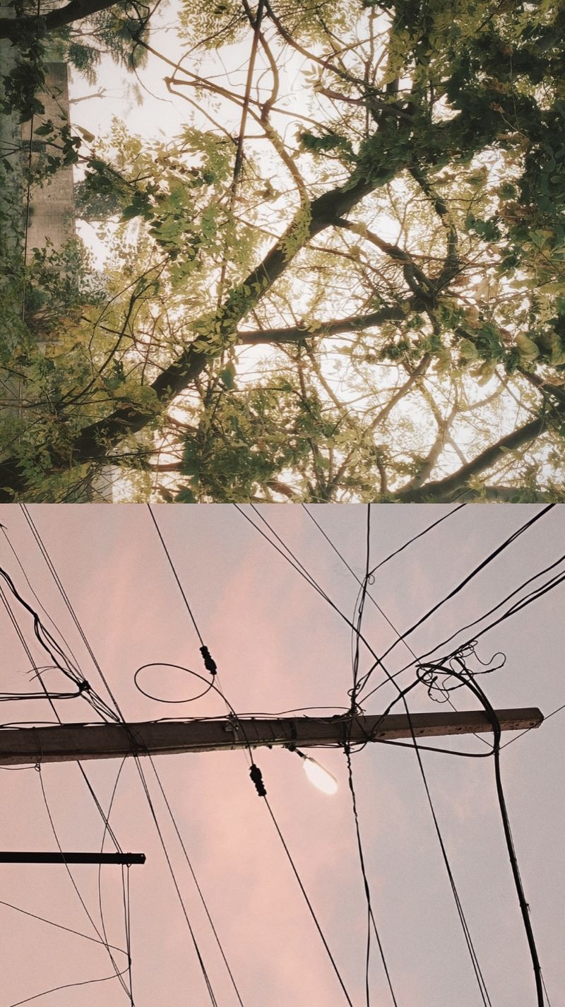 © Janvi Bhardwaj - Image from the Diptych photography project