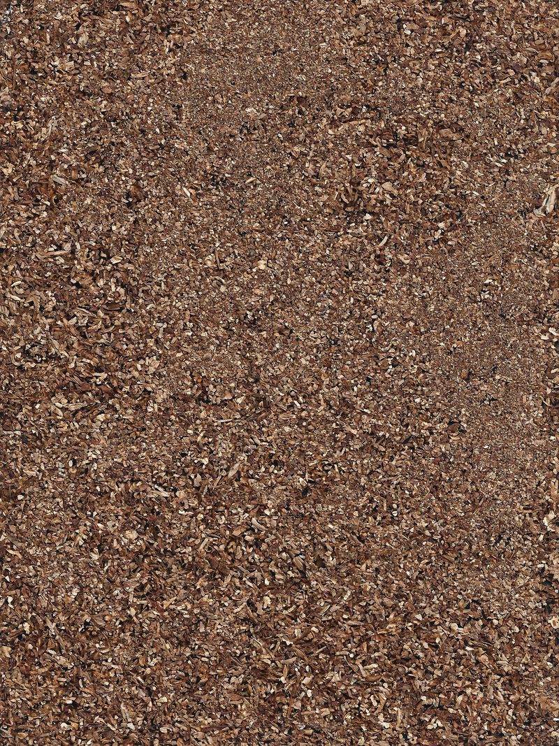 © Lorenzo Vargiu - Twenty Cigarettes without Filters and Papers