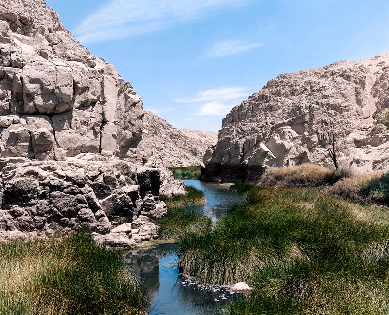 © Gaspar Abrilot - Image from the In the shade of the carob trees photography project