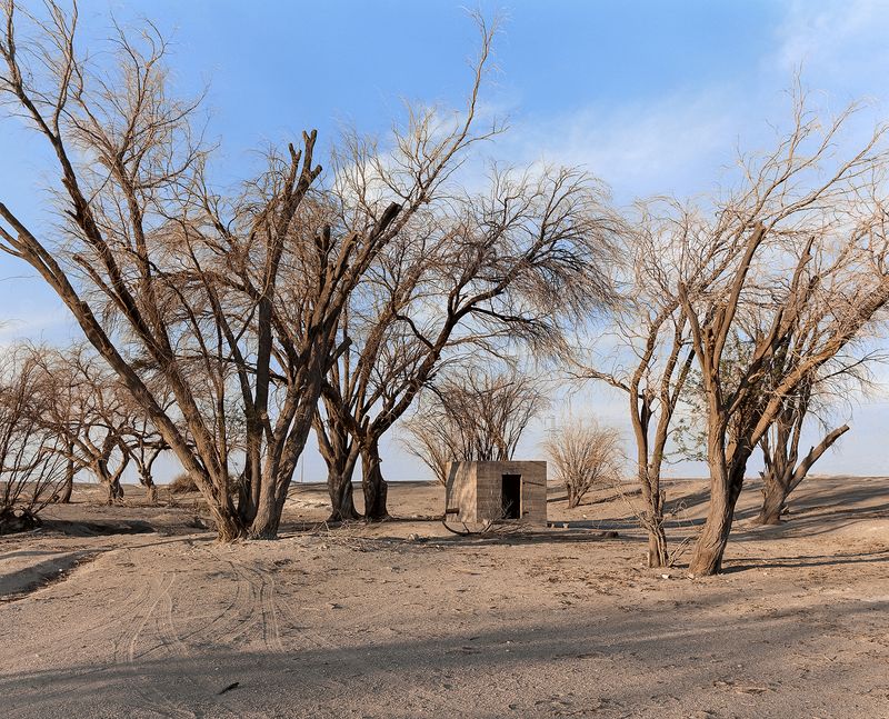 © Gaspar Abrilot - Image from the In the shade of the carob trees photography project