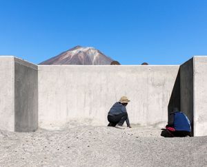 In the shade of the carob trees