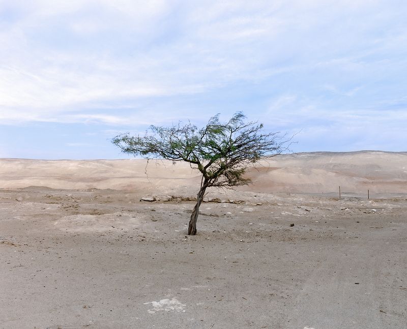 © Gaspar Abrilot - Image from the In the shade of the carob trees photography project