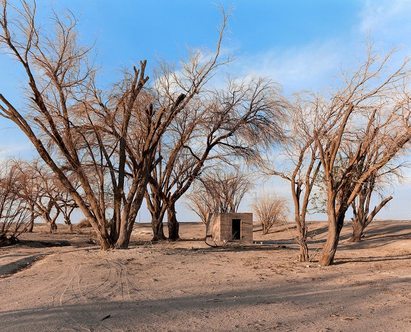 © Gaspar Abrilot - Image from the In the shade of the carob trees photography project