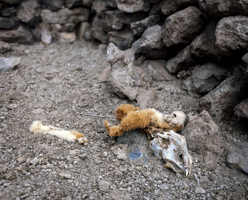 © Gaspar Abrilot - Image from the In the shade of the carob trees photography project
