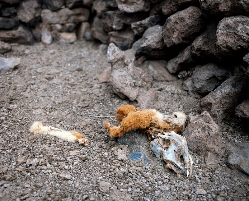 © Gaspar Abrilot - Image from the In the shade of the carob trees photography project