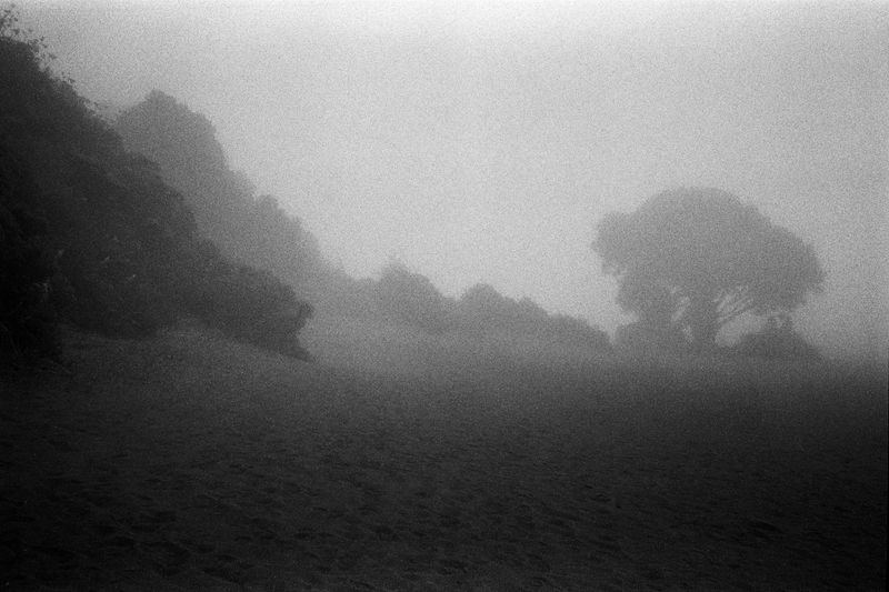 © Paula Madrigal Quirós - Image from the Heartburn photography project