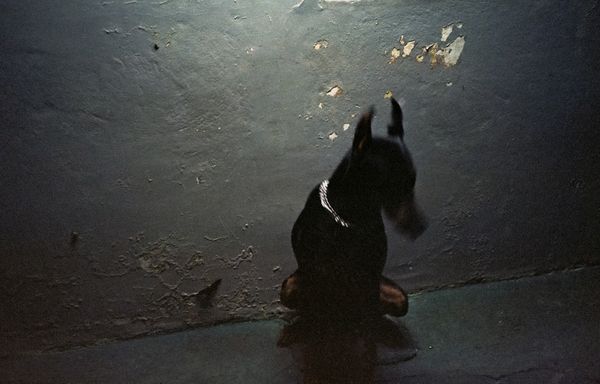 © Paula Madrigal Quirós - Image from the Heartburn photography project