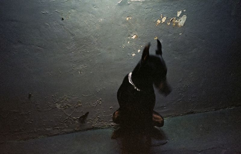 © Paula Madrigal Quirós - Image from the Heartburn photography project