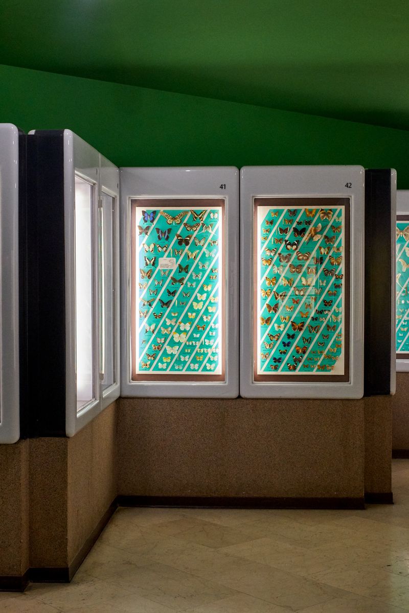 © Clelia Cadamuro - Image from the Animabilia photography project