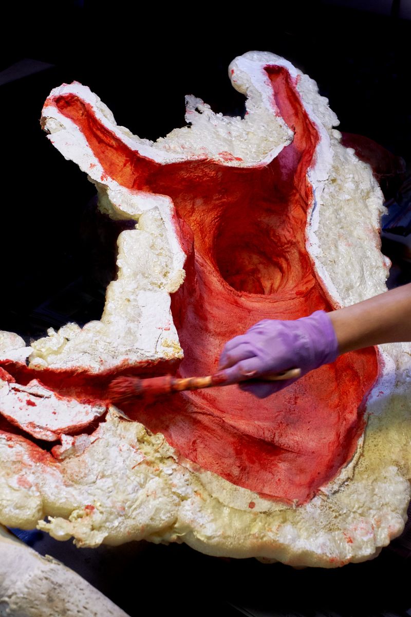 © Clelia Cadamuro - Image from the Animabilia photography project