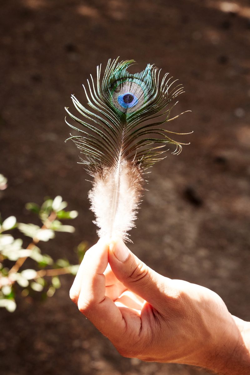 © Clelia Cadamuro - Image from the Animabilia photography project