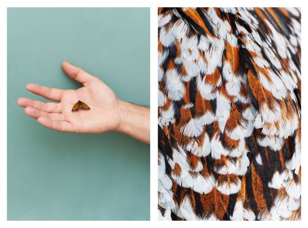 © Clelia Cadamuro - Image from the Animabilia photography project