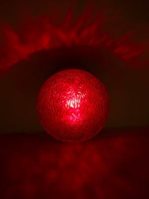 Hotel of Eternal Light