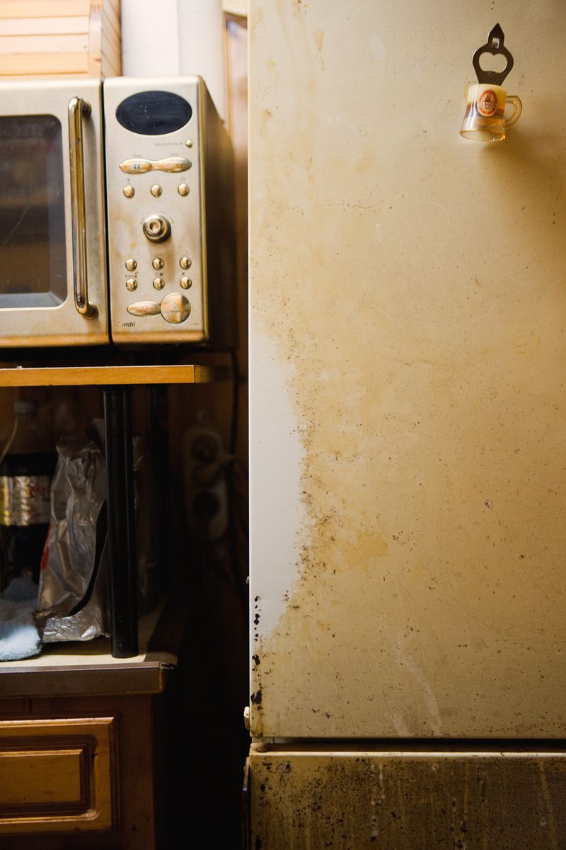 © Katherine Longly - Image from the Hernie & Plume photography project