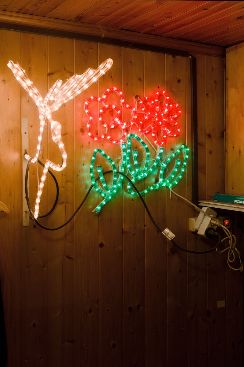 © Katherine Longly - Image from the Hernie & Plume photography project