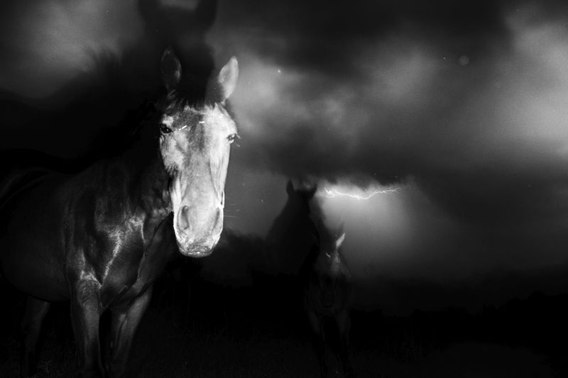 © Stavros Stamatiou - Image from the A raven's dream photography project