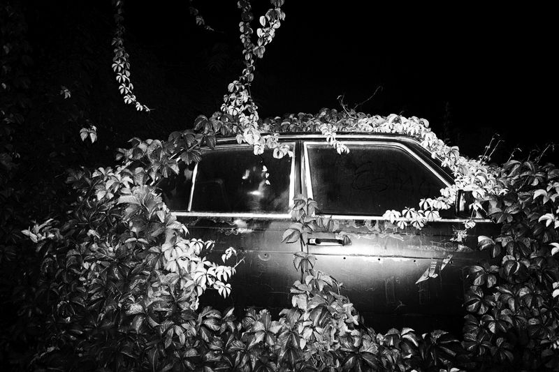 © Stavros Stamatiou - Image from the A raven's dream photography project