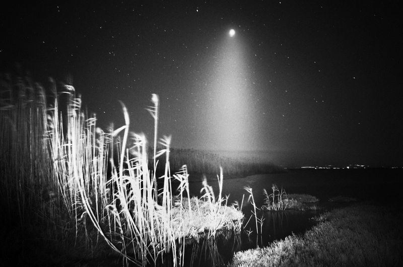 © Stavros Stamatiou - Image from the A raven's dream photography project